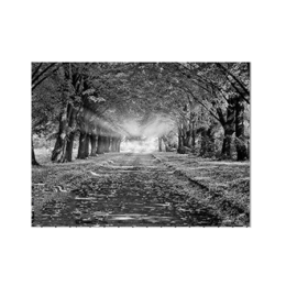 Пейзаж на обратной стороне памятника 27
